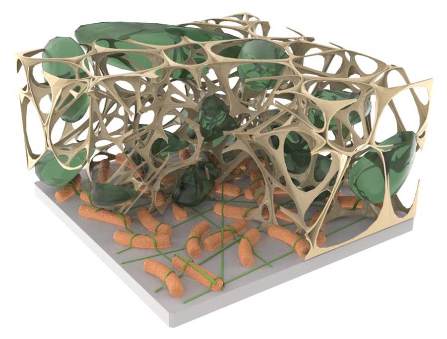 3D printed bioelectronics device